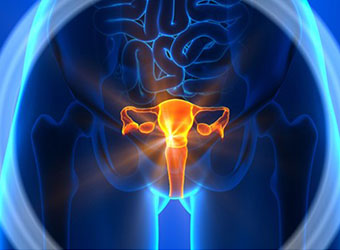 Obstetrics And Gynaecological Services